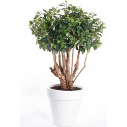 Groene kunstplant ficus 70 cm plant in pot - Kunstplanten