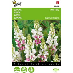 5 stuks - Lupinus Rose laag Pink Ferry Tuinplus