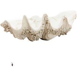 Light & Living - Ornament SHELL - 52x28x18cm - Bruin