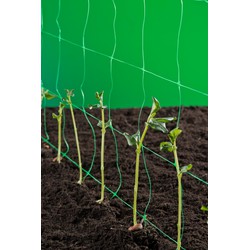 Klim- groei- en geleidenet groen 1x10m maaswijdte 15x17cm 10 g/m2 - Nature