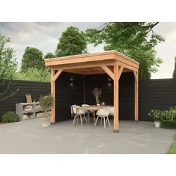 Douglas DIY overkapping, 300 x 250, met achterwand en zijwand, Westwood, zwart gespoten