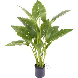 Allocasia groen 80 cm kunstplant Oosterik Home