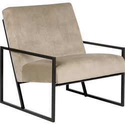 Beliani DELARY - Fauteuil-Beige-Fluweel