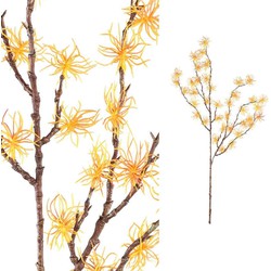 PTMD Kunsttak Hamamelis - 60x55x110 cm - Polyester - Geel