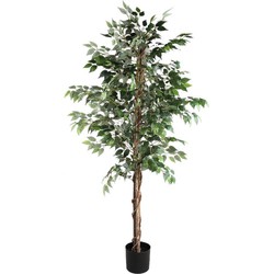 PTMD Kunstplant Tree - 120x100x190 cm - Plastic - Zwart
