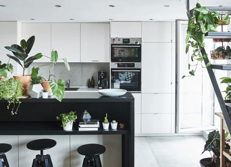 Groen, groener, groenst: dit interieur is niet vies van planten