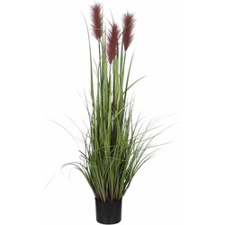 Mica Decorations - gras kunstplant - groen/bruin - H120 x D45 cm - Kunstplanten