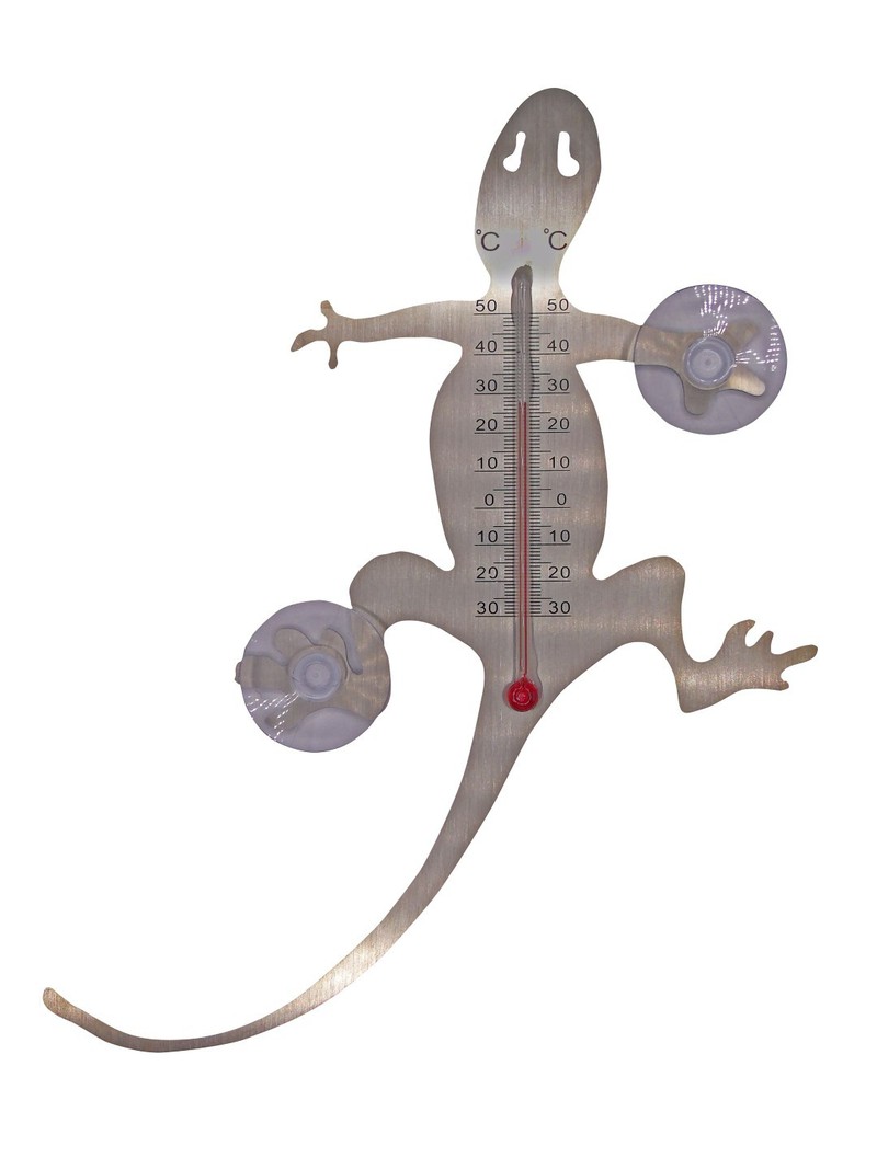 Muurthermometer metaal met zuignappen salamander 20x16x1 cm - Nature - 