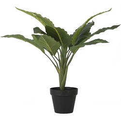 Bahne Kunstplant Lepelplant in Pot - 45 cm