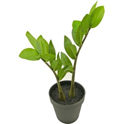 Kunstplant Zamioculcas 35 cm