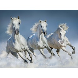 Witte paarden thema placemats 3D 30 x 40 cm - Placemats