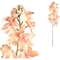 PTMD Kunstbloem Orchid - 38x16x92 cm - Polyester - Roze