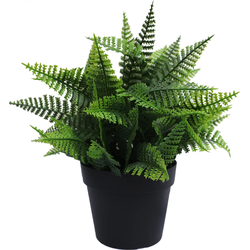 Greenmoods Kunstplant Varen - Nephrolepis exaltata - Nep plant - Sterk UV bestendig - 1 Stuk