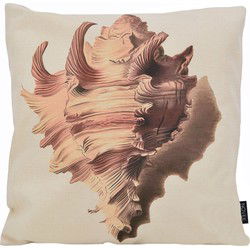 Sea Shell / Schelp | 45 x 45 cm | Kussenhoes | Katoen/Linnen