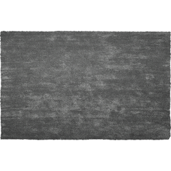 DEMRE  - Shaggy vloerkleed - Donkergrijs - 200 x 300 cm - Polyester