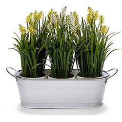 Arte r plantenpot/bloempot teil- zink - wit - L32,5 x D10,5 x H11 cm - Plantenpotten