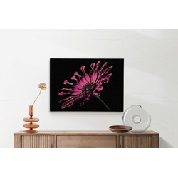 Muurwerken Akoestisch Schilderij - Aster Bloem - Geluidsdempend Wandpaneel - Wanddecoratie - Geluidsisolatie - BASIC (AW 0.65) L (100x72)