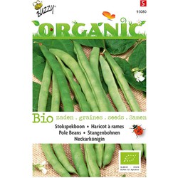 3 stuks - Organic Stokspekboon Neckarkonigin (BIO)