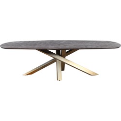 PTMD Alore brown gold diningtable oval 240 cm