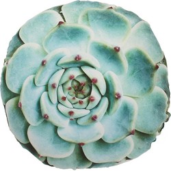 Dutch Decor MERGA - Sierkussen velvet - rond - plantenprint - 40x40 cm - Groen & Rose - Dutch Decor