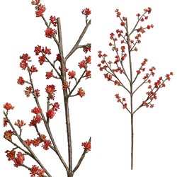 Berry Plant - 54.0 x 30.0 x 107.0 cm