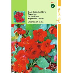 2 stuks - Tropaeolum Majus Nanum Empress Of India