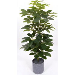 Scheffelera arboricola 70 cm kunstplant Oosterik Home