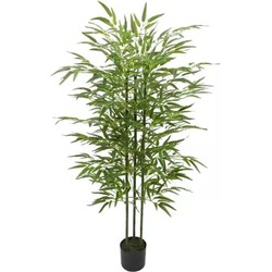 Bambus grün 155 cm Kunstpflanze - Buitengewoon de Boet