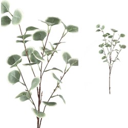 PTMD Leaves Plant Eucalyptus Kunsttak - 48 x 26 x 90 cm - Groen/Grijs
