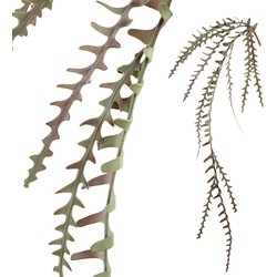PTMD Leaves Plant Hangende Pinnate Kunstplant - 116x30x126 cm - Rood