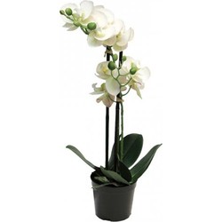 Phalaenopsis Orchidee In Pot 50 cm wit kunstplant