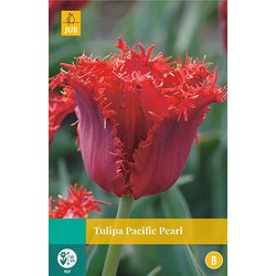 5 stuks - Tulipa Pacific Pearl 5 bollen