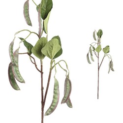PTMD Twig Plant Erwt Kunsttak - 30 x 14 x 72 cm - Groen