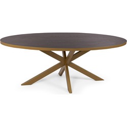 Stalux Ovale eettafel 'Mees' 210 x 100cm, kleur goud / bruin hout