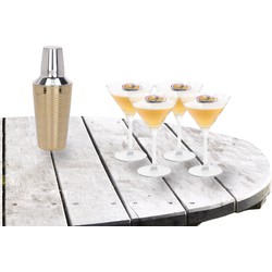 Cocktailshaker set met 4x stuks Martini cocktailglazen 260 ml - Cocktailglazen