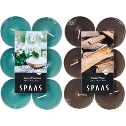 Candles by Spaas geurkaarsen - 24x stuks in 2 geuren Mint en Exotic wood - geurkaarsen