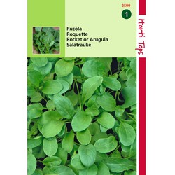 2 stuks - Saatgut Rucola (Eruca sativa) - Hortitops