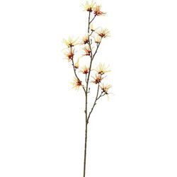 Toverhazelaartak l98 cm geel