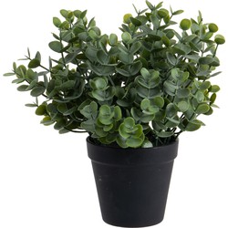 Louis Maes Eucalyptus Kunstplant - in pot - groen - H28 cm - Kunstplanten