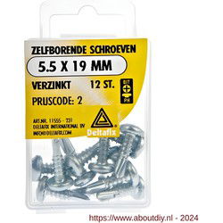 Zelfb.schroef 5.5x19mm verz 12st