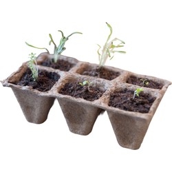 2 stuks - Turfpottrays H5x5x5cm set a 10 trays van 6 stuks - Nature