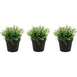 Emerald Kunstplant eucalyptus - Set van 3x stuks - groen - in zwart potje - 20 cm - Kunstplanten