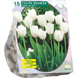 Bollen Tulipa Maureen 15 stuks