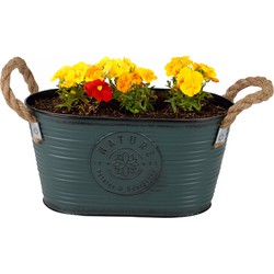 Sunnydays Teil/plantenpot - zink - petrolblauw - L24 x D14 x H12 cm - IJzeren emmer / teil