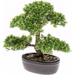 Ficus Mini Bonsai kamerplanten 32 cm - Kunstplanten
