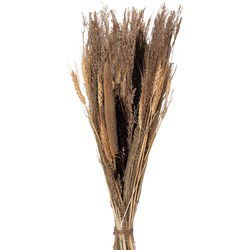 Clayre & Eef Droogbloemen Beige Droogbloemen