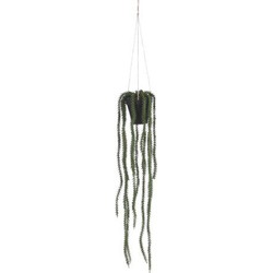 Rhipsalis hangend in pot groen - l62xd9cm