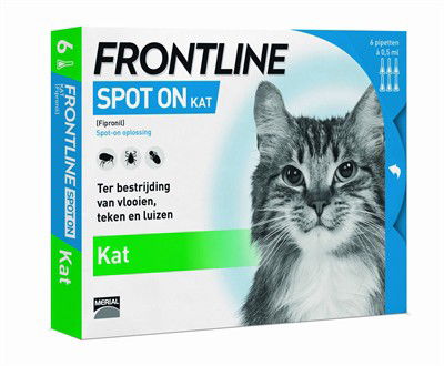 FRONTLINE KAT SPOT ON 6 PIPET - 
