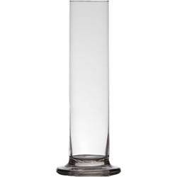 Luxe stijlvolle 1 bloem vaas/vazen 30 x 6 cm transparant glas - Vazen