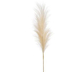Emerald Pampasgras pluim losse steel/tak - creme wit - 115 cm - Kunsttakken